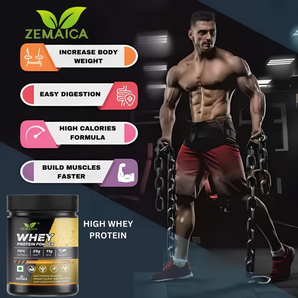 zemaica-whey-protein-capsule-whey-supple-61b87hVYIxL.jpg