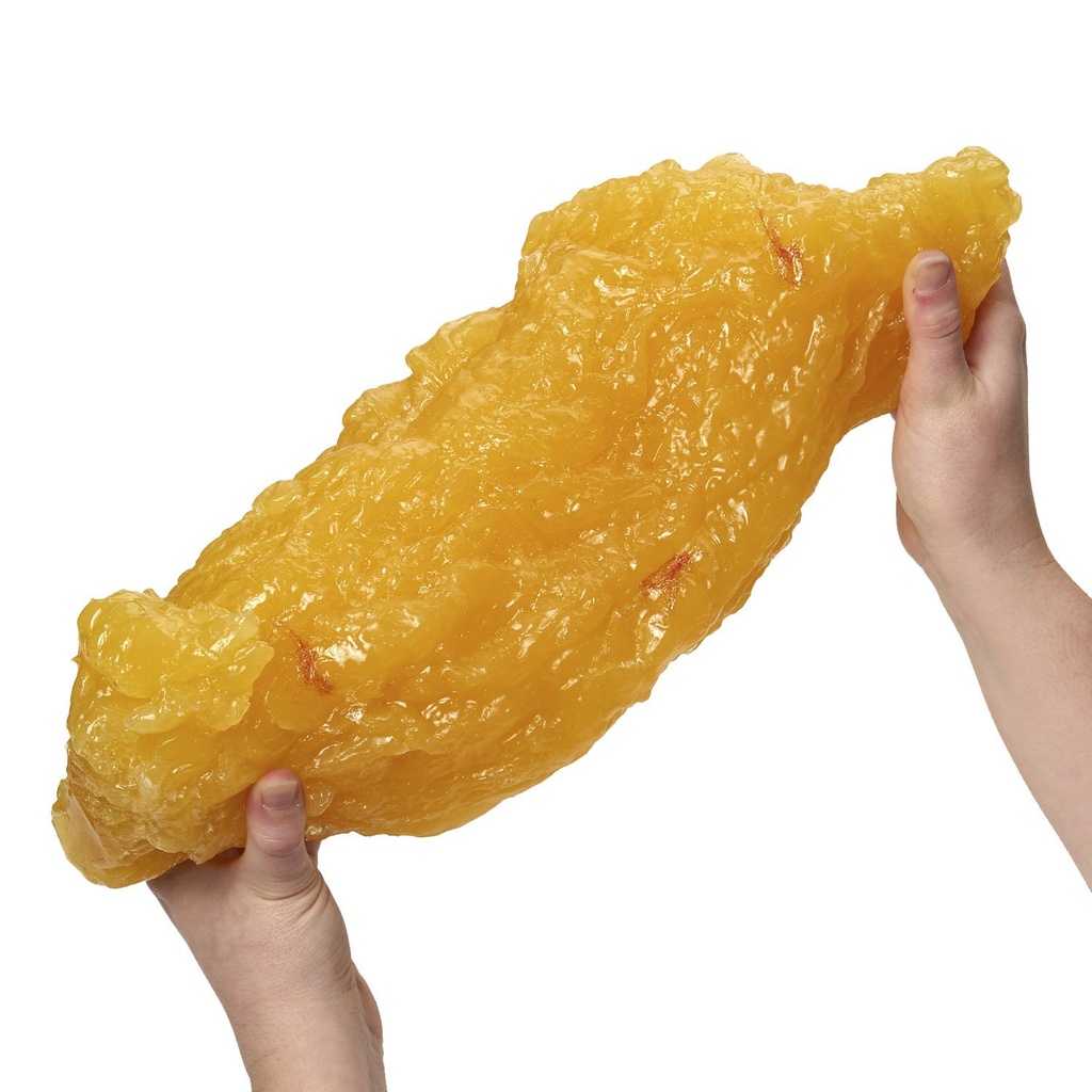 nasco-wa04313-human-body-fat-replica-5-l-2.jpg