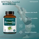 herb-essential-boswellia-bone-and-joint--71KRSQDJw1L.jpg