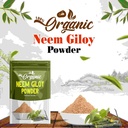 organic-neem-giloy-powder-100-gm-100-pur-81jxtyW9NRL.jpg