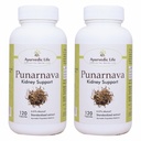 punarnava-capsules-350mg-capsules-natura-61ubWCtN13L.jpg