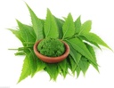 neem-leaves-330-gram-patti-shuddh-100-or-51oQ5Ysdf2L.jpg