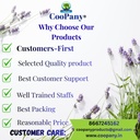 coopany-250-71IbwWf+TbL.jpg
