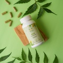 daivik-moringa-neem-capsules-for-healthy-71MpiNJ31jL.jpg