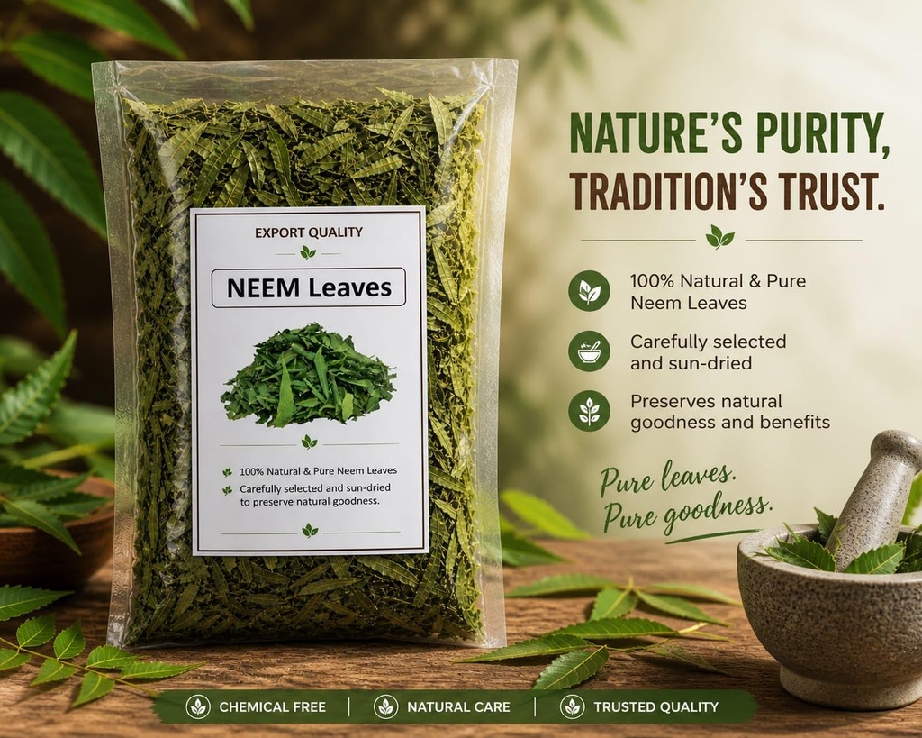 premium-natural-neem-leaves-fresh-herbal-71JYHGeBjiL.jpg