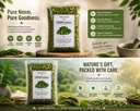 premium-natural-neem-leaves-fresh-herbal-71NB0KtqKfL.jpg