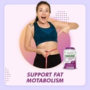 healthyhey-nutrition-hadjod-cissus-quadr-61HBkKBvYIL.jpg