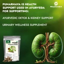 grandhike-organic-punarnava-powder-churn-61TD0WC7eML.jpg