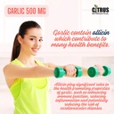 garlic-extract-500mg-capsules-81hxD9nytBL.jpg
