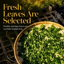 moringa-powder-200g-farm-fresh-organic-d-81UL8wTKfiL.jpg