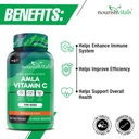 nourishvitals-amla-vitamin-c-with-tannin-61ERq2ZWnIL.jpg