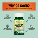 morpheme-remedies-garcinia-cambogia-for--61pDS8k6zYL.jpg