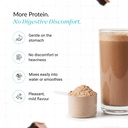 nutrova-whey-protein-isolate-dark-chocol-614Bgzs5YAL.jpg