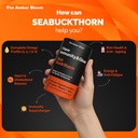 himalayan-sea-buckthorn-capsules-500-mg--71Aix22mwFL.jpg