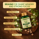 pankajakasthuri-brahmi-tablets-for-memor-71Q74xAp4LL.jpg