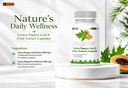 leewell-carica-papaya-leaf-fruit-extract-61K5BWfHGSL.jpg