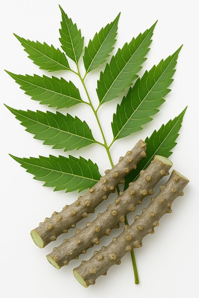 natural-neem-giloy-fresh-plant-sticks-6--71WcTEqkfuL.jpg