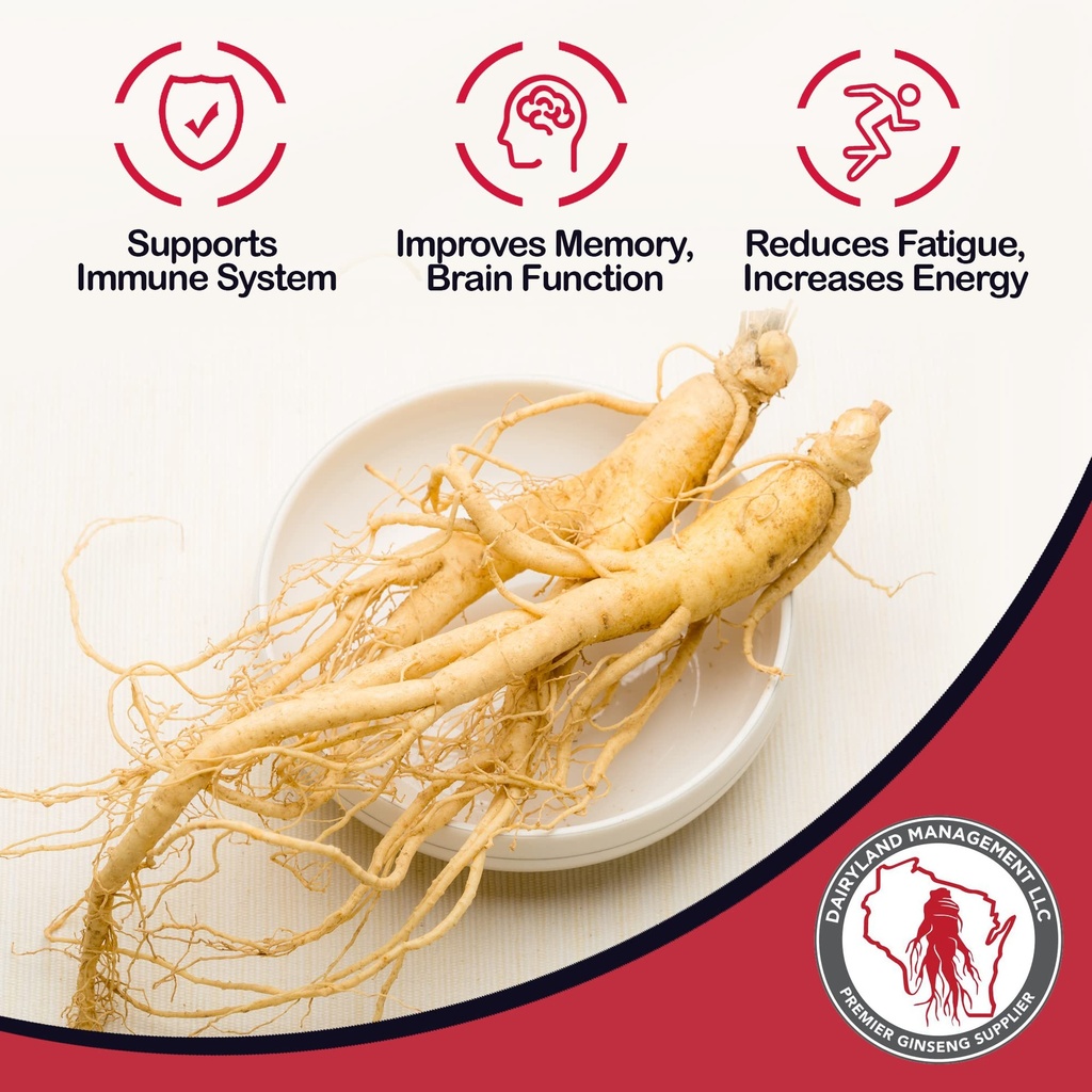 dairyland-american-ginseng-slices-and-po-81Nox14BspL.jpg