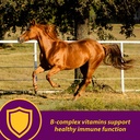 farnam-horse-health-red-cell-pellets-vit-91YxIbFaw+L.jpg