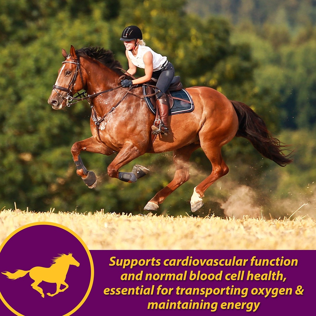 farnam-horse-health-red-cell-pellets-vit-91Y0IvwHpNL.jpg