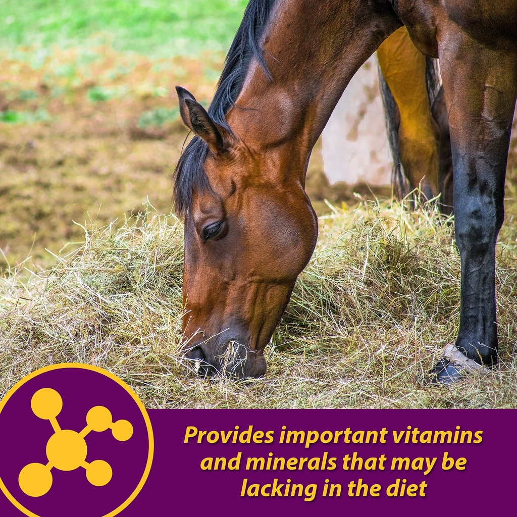 farnam-horse-health-red-cell-pellets-vit-A1NSxQa7z-L.jpg
