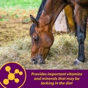 farnam-horse-health-red-cell-pellets-vit-A1NSxQa7z-L.jpg