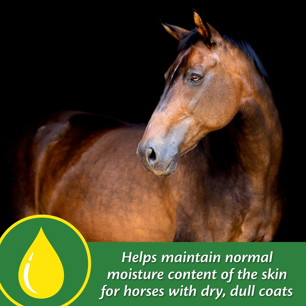 farnam-super-14-healthy-skin-coat-supple-81mNMVtIZ8L.jpg