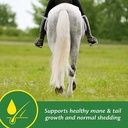 farnam-super-14-healthy-skin-coat-supple-81YadQJ3hAL.jpg