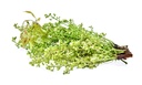 fresh-neem-flower-100-gram-71BzpLbBewL.jpg