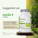 vedistry-amla-supplement-1100mg-indian-g-81Qx27iWvhL.jpg