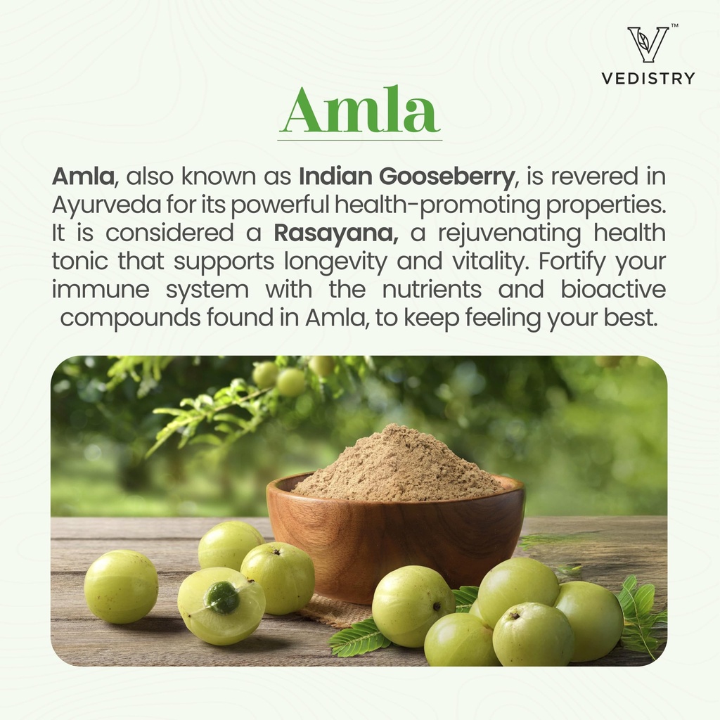 vedistry-amla-supplement-1100mg-indian-g-815i8-WGWoL.jpg