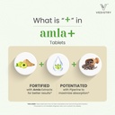 vedistry-amla-supplement-1100mg-indian-g-714Mzyf4PGL.jpg