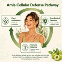 amla-capsules-1000mg-40-tannins-standard-81bO61oRoeL.jpg