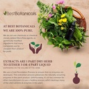 best-botanicals-burdock-root-powder-16-o-5.jpg