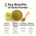 ayurvedix-organic-amla-powder-for-hair-g-61C1iBK-vNL.jpg