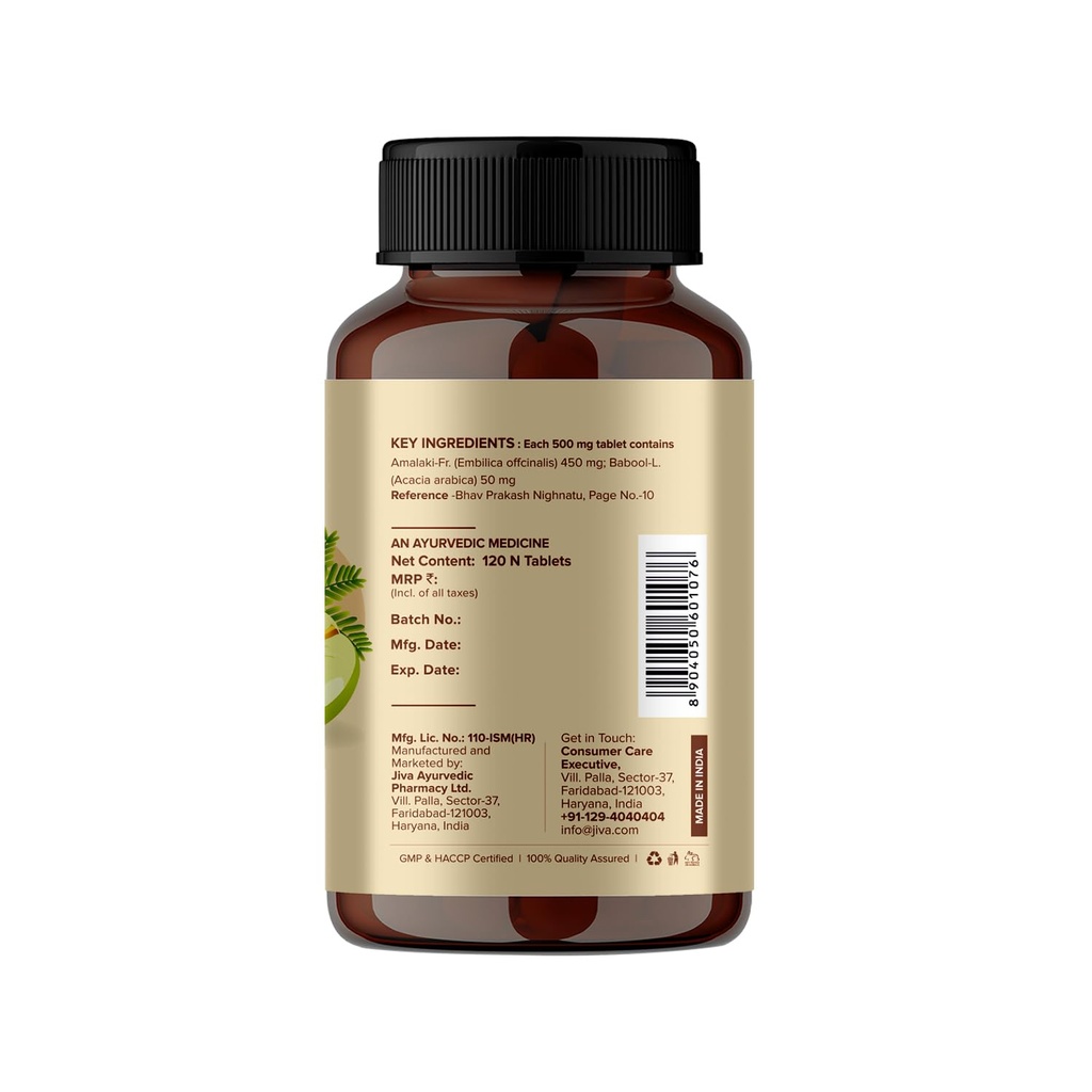 jiva-amla-tablets-500mg-360-tablet-100-p-61Fmb6pXBGL.jpg