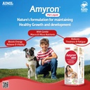 aimil-amyron-pet-liquid-natural-health-r-71VQdAX8Z1L.jpg