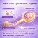 hayer-liposomal-nac-supplement-600mg-wit-61haNuGVY8L.jpg