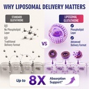 2400-mg-liposomal-glutathione-pure-reduc-71wo1eryZDL.jpg