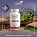 cognilux---brain-supplements-for-memory--6.jpg