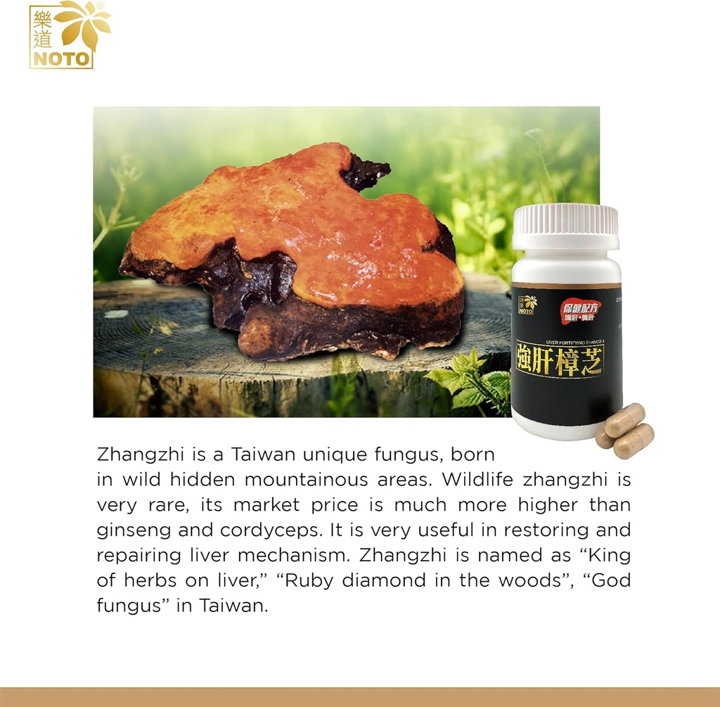 noto-liver-fortifying-zhangzhi-heath-sup-4.jpg
