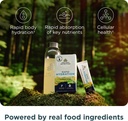ancient-nutrition-rapid-hydration-powder-3.jpg