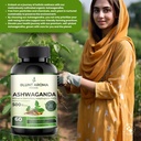 ashwagandha-extract-capsule---great-stre-5.jpg