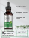 horbaach-gymnema-sylvestre-liquid-extrac-3.jpg