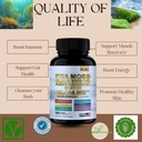 sea-moss-black-seed-oil-ashwagandha-ging-2.jpg