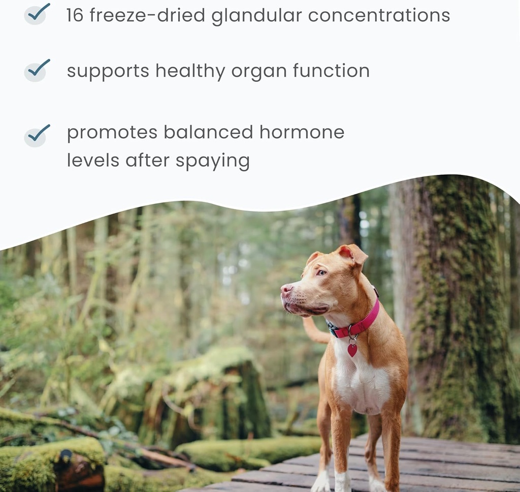 bark-whiskers-female-glandular-support-4-5.jpg