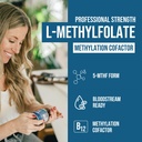 l-methylfolate-75mg-plus-methyl-b12---ac-2.jpg