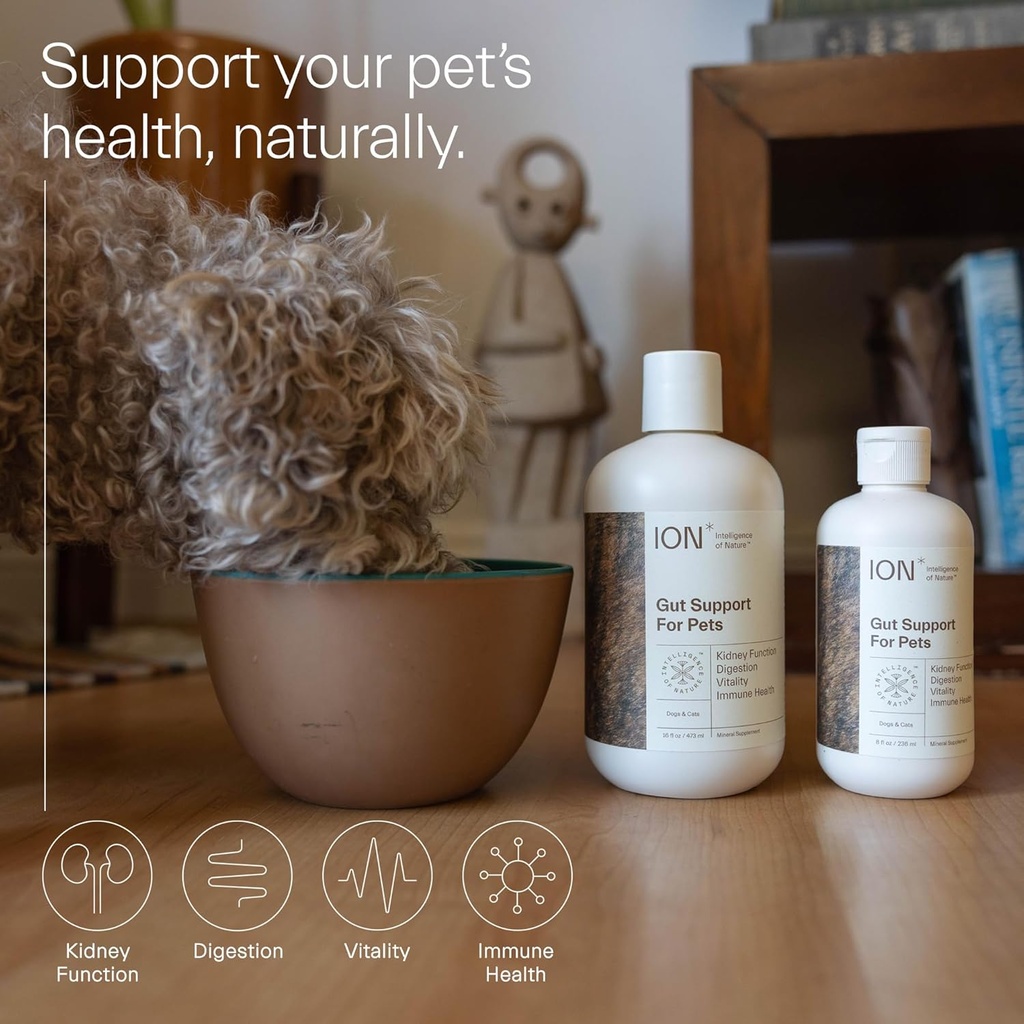 ion-intelligence-of-nature-gut-support-f-5.jpg
