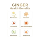 ginger-rescue-chewable-tablets-by-the-gi-4.jpg
