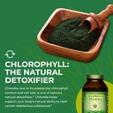 healthforce-superfoods-chlorella-manna---6.jpg
